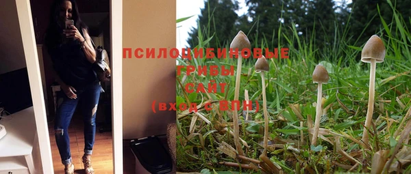 a pvp Надым