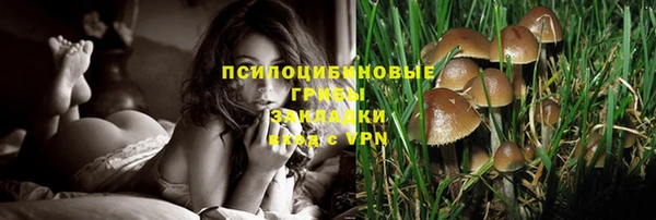 мескалин Нефтекумск